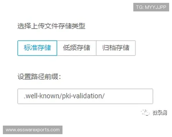 开云网站域名优化策略详解提升网站品牌影响力的实用方法
